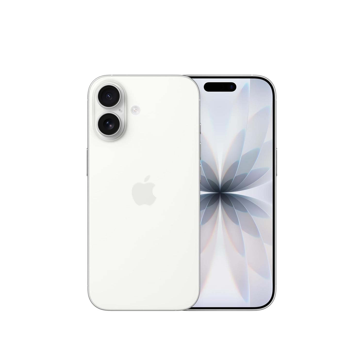 Apple iPhone 17 256 GB: 6.3 inch Display with ProMotion, A19 Chip, Centre Stage Front Camera for Smart Group Selfies, Improved Scratch Resistance, Battery for the All Day, Fog Blue