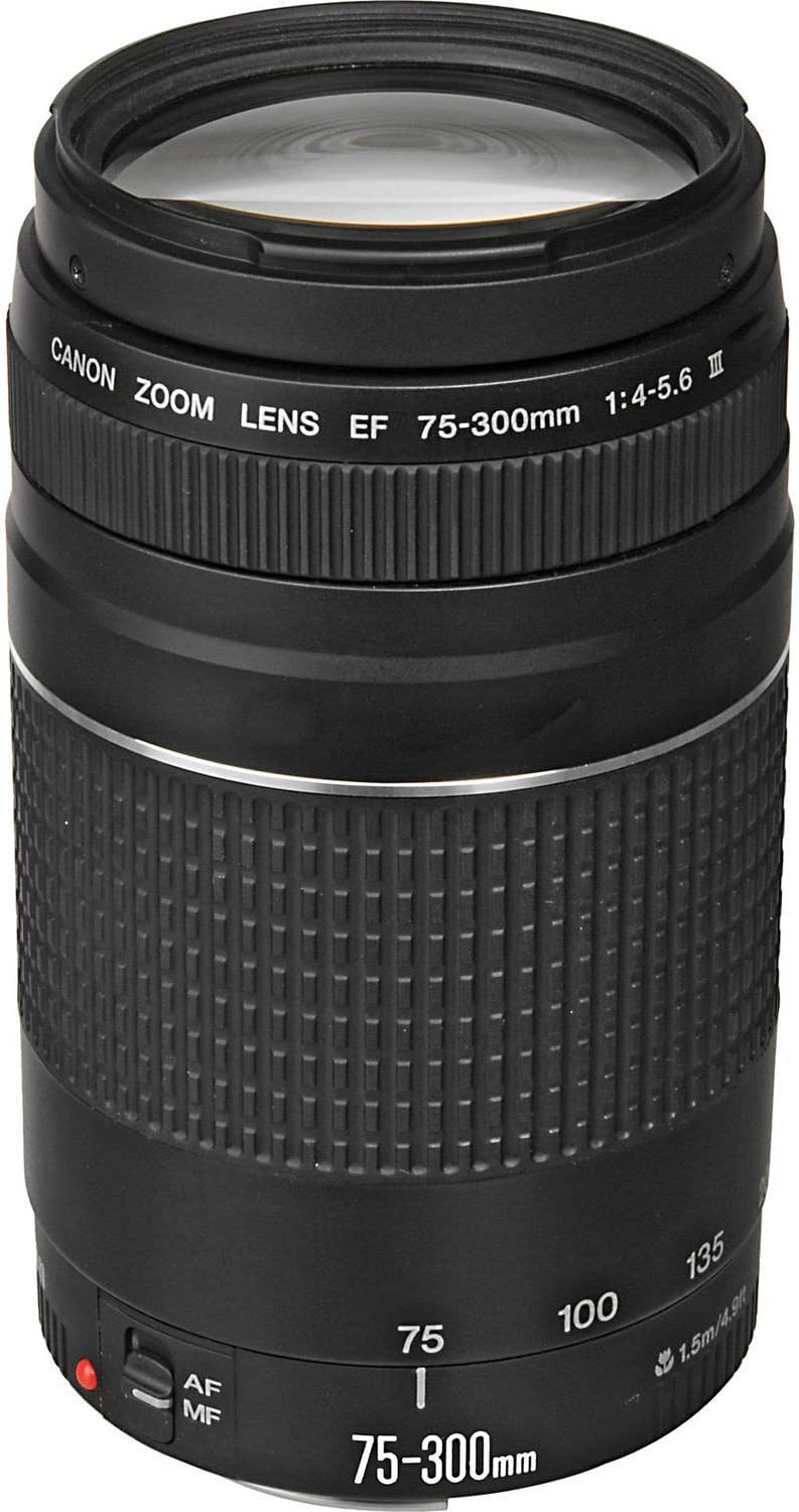 Canon EOS 2000D single lens reflex camera (24.1 MP, DIGIC 4+, 7.5 cm (3.0 inch) LCD, Full-HD, WIFI, APS-C CMOS sensor) including lenses EF-S 18-55mm F3.