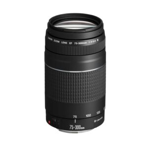 Canon telephoto lens EF 75-300mm F4.0-5.6 III for EOS (58mm filter thread, autofocus) black