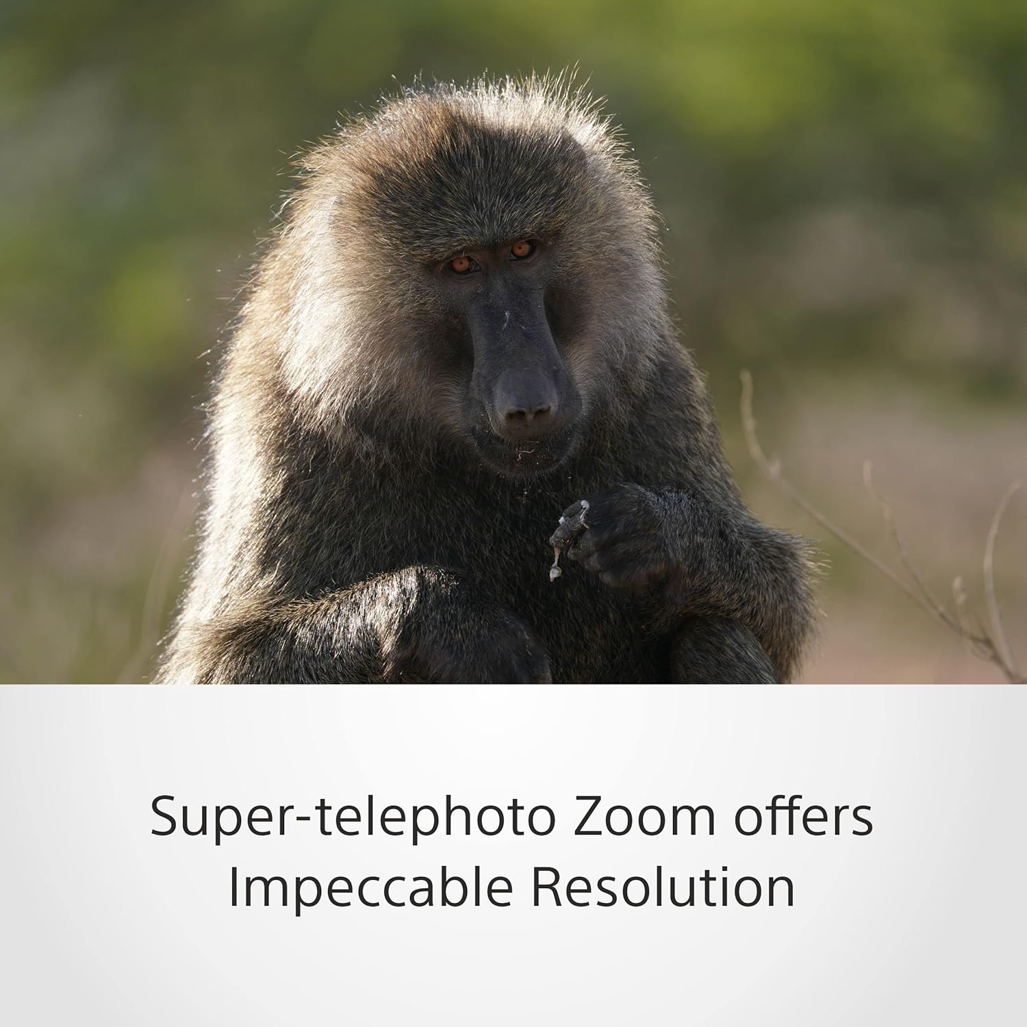Sony SEL-200600G G Super Telephoto Zoom Lens (200-600 mm, F5.6-6.3, Full Format, Suitable for A9, A7, A6000, A5100, A5000 and Nex Series, E-Mount) White
