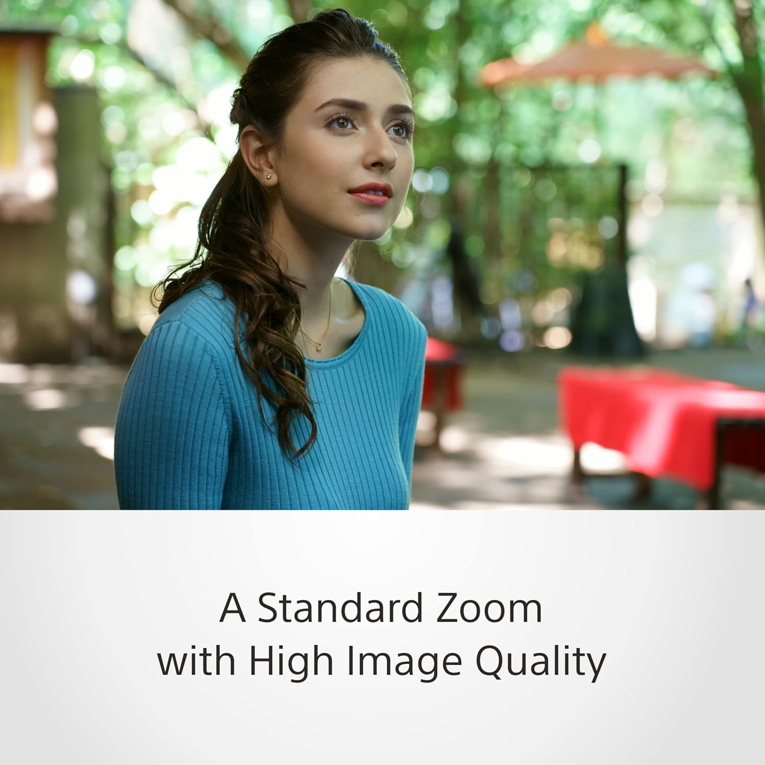 Sony SEL-24105G G Standard Zoom Lens