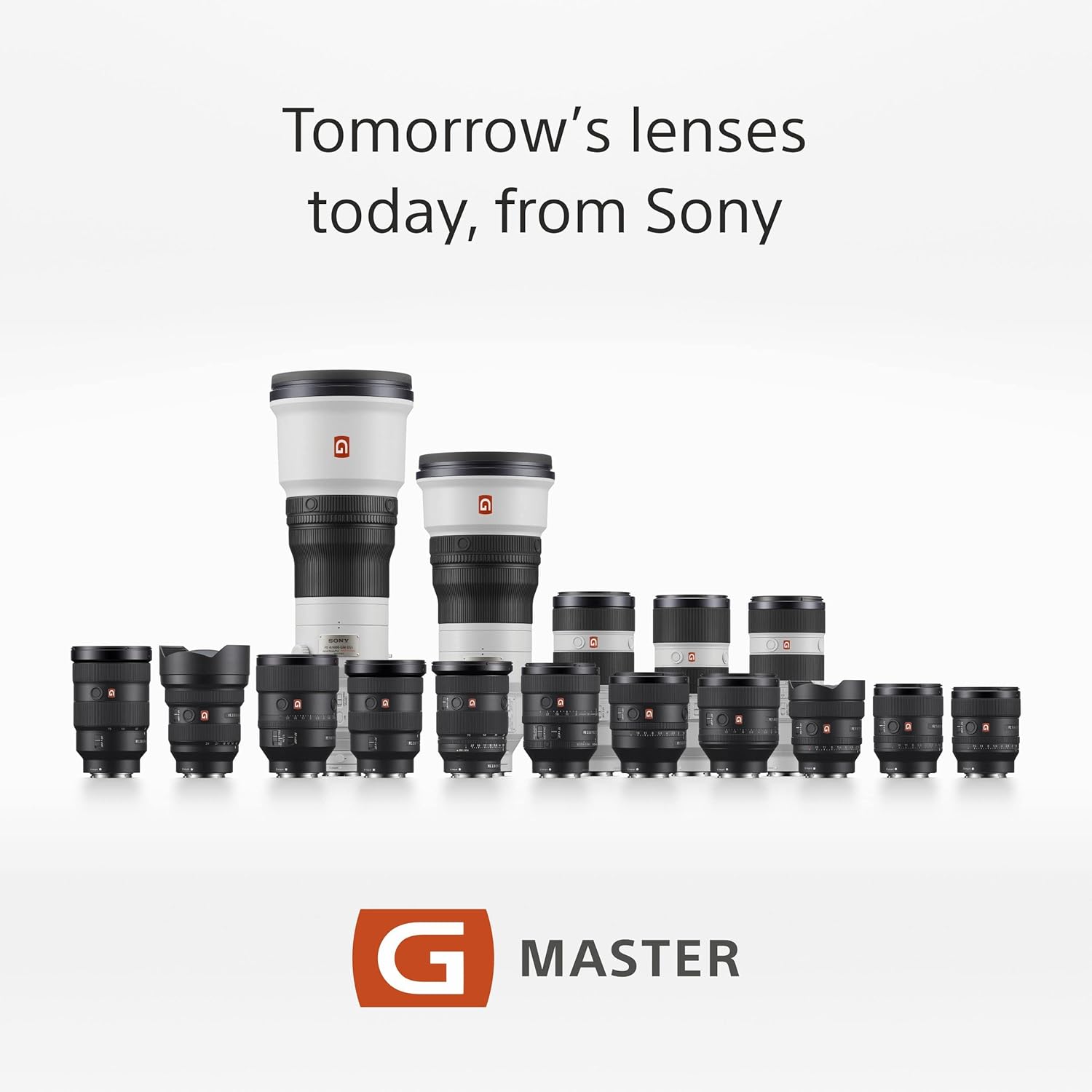 Sony SEL-2470GM G Master Zoom Lens